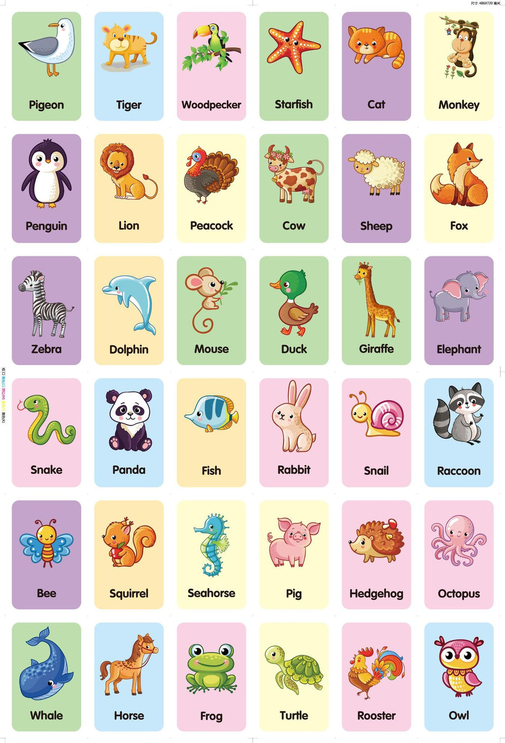 36Pcs Kids Cognition Card Shape Animal Color Teaching Baby English Learning Word Card Education Toys Montessori Material Gift