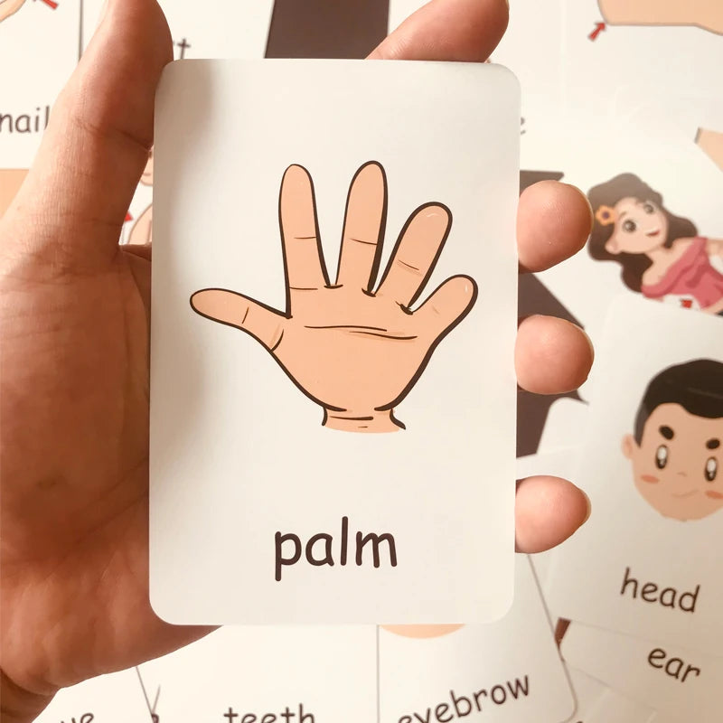 36pcs Children Cognition Cards Body Parts Animal Fruits Double Side Flashcards Montessori Baby Kids Early Educational Toys Gifts