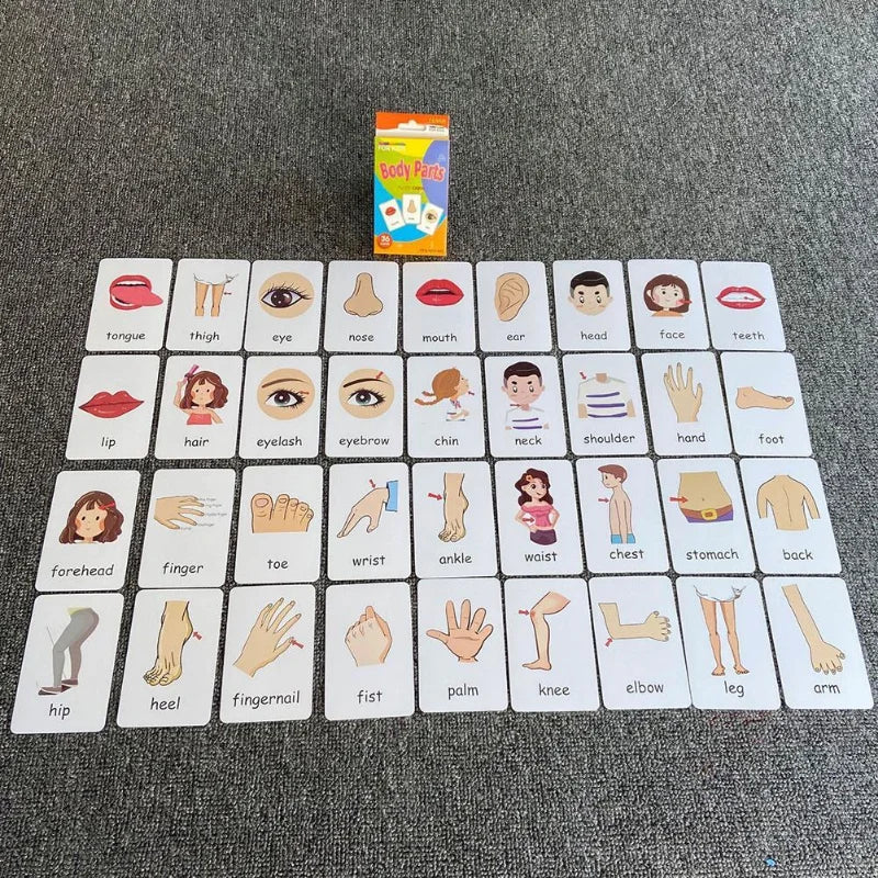 36Pcs Kids Cognition Card Shape Animal Color Teaching Baby English Learning Word Card Education Toys Montessori Material Gift